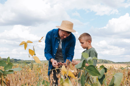 Agronomist, father and son together in agriculture field with soybeans. The man shows the boy ripe...