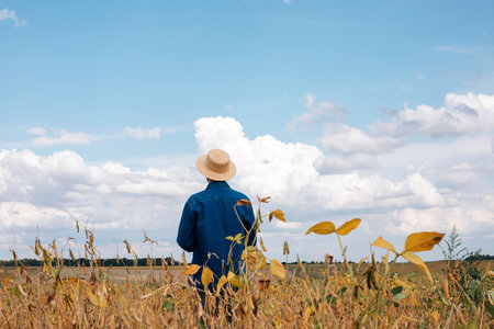 Farmer, agronomist in the soybean field. Controlling the growth of agricultural crops. Green soy with beans. Front viewの写真素材