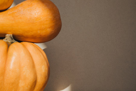Two yellow pumpkins on a gray background. Autumn composition. Halloween background. Front view