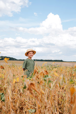A school-age boy in the soybean field. Controlling the growth of agricultural crops. Yellow soy with beans. Front viewの写真素材