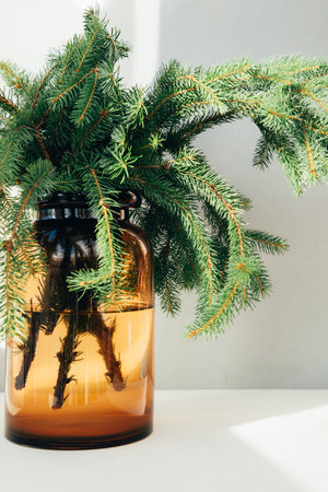 New Year, Christmas background. Christmas tree green branches in yellow big vase. Front viewの写真素材