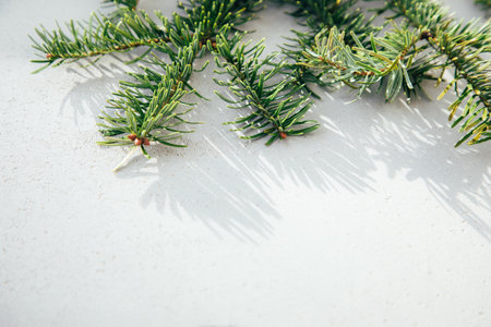 New Year, Christmas background. Branches of a green Christmas tree on a grey concrete background. Top viewの写真素材