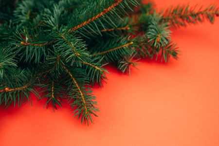 New Year, Christmas background. Branches of a green Christmas tree on a red background. Top viewの写真素材