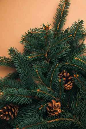 New Year, Christmas background. Branches of a green Christmas tree on a brown background. Top viewの写真素材