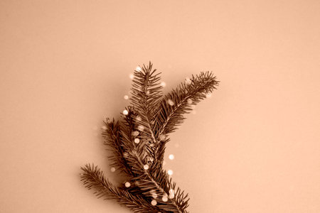 New Year, Christmas background. Branches of a green Christmas tree on a brown background. Top viewの写真素材