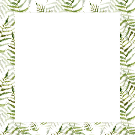 Watercolor square frame with fern. Frame with forest greenery. Forest green leaves for cards, wedding invitations, packaging design, printing.の写真素材