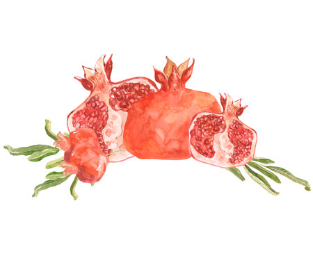 Watercolor pomegranate composition with branches. Half and whole pomegranate with greens, isolated illustration on white background. Hand drawnの写真素材