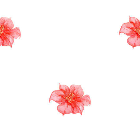 Watercolor pattern with red hibiscus. Seamless pattern of pink tropical flower, Hawaii, botanical flower bud illustration for textile, wrapping paperの写真素材