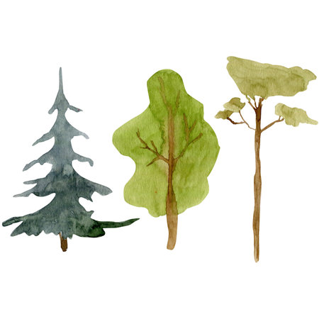 Watercolor illustration set of forest trees on a white background. Hand drawn trees for landscape exterior, garden, botanical environmental elementsの写真素材