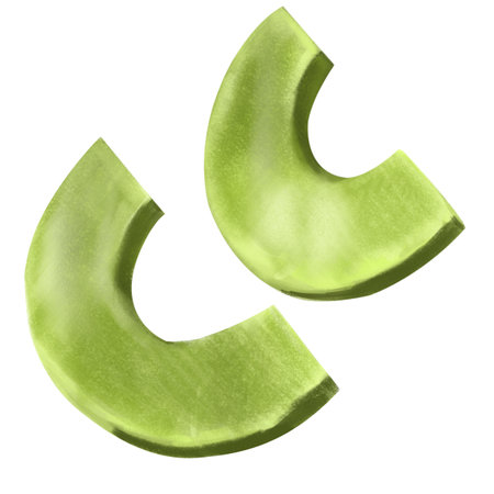 Watercolor pieces of avocado hand drawn isolated realistic illustration on white background. Green ripe avocado, guacamolle sauce, smoothie, freshの写真素材