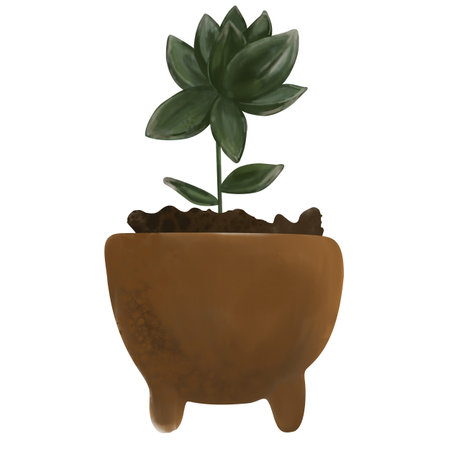 Watercolor illustration of a succulent in a pot, isolated on a white background. Botanical illustration of a houseplant in a pot, agricultureの写真素材