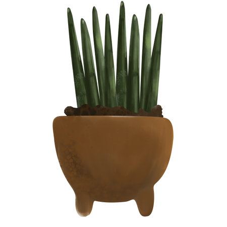 Watercolor illustration of sansevieria in the ground, isolated on white background. Botanical illustration of a houseplant in a pot. succulent, cactusの写真素材