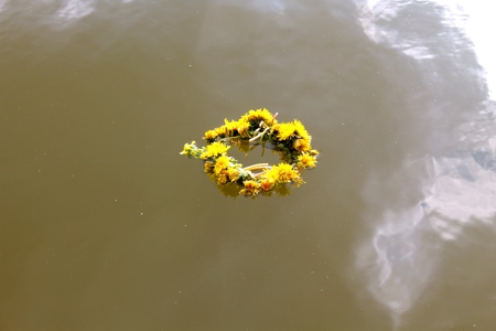wreath of yellow dandelions on the waterの写真素材