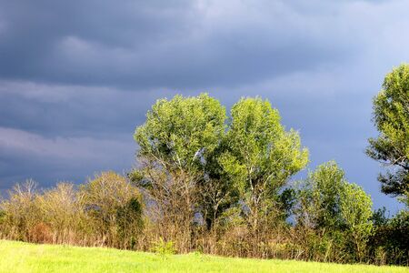 dark storm clouds over the green treesの写真素材