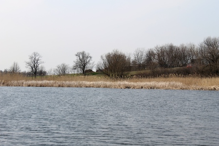 Pond in early springの写真素材