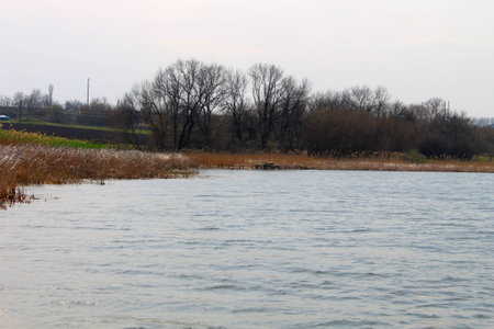 Pond in early springの写真素材