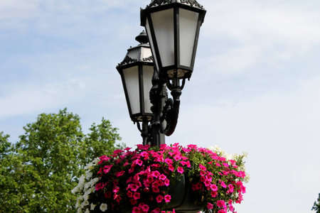 decorative old street lantern の写真素材