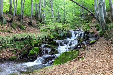 River in Carpathian mountainsの写真素材