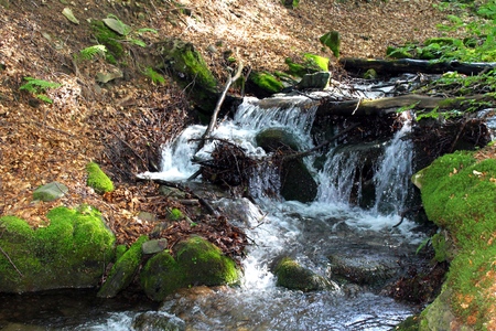 River in Carpathian mountainsの写真素材