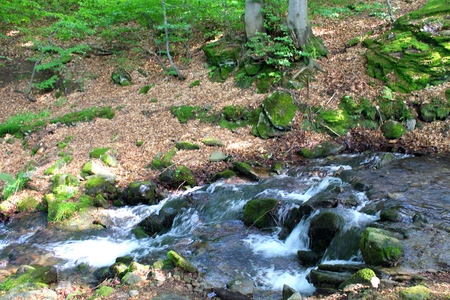 River in Carpathian mountainsの写真素材
