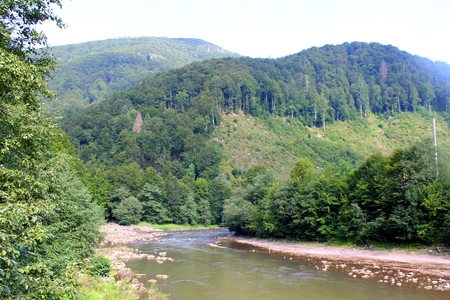 River in Carpathian mountainsの写真素材