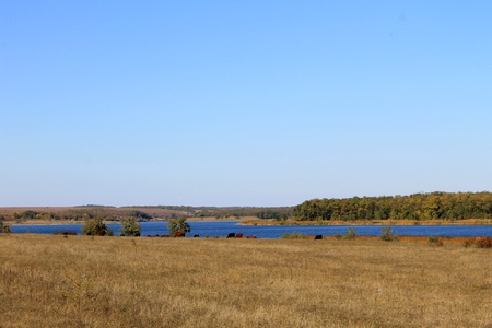 River Saksagan in Ukraineの写真素材