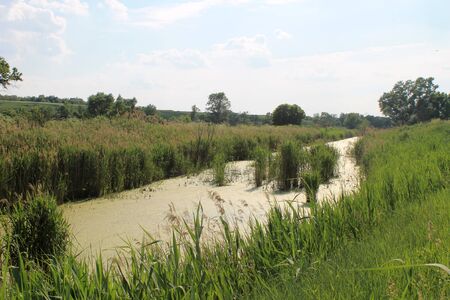 Small riverの写真素材
