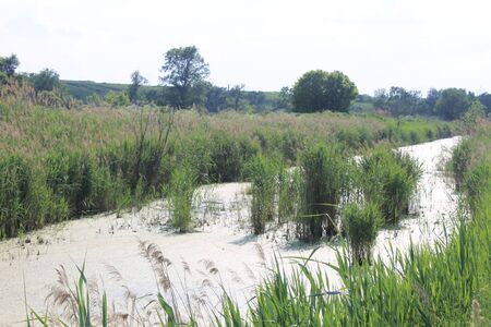 Small riverの写真素材