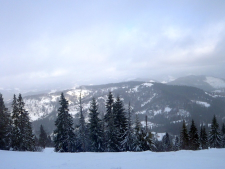 Winter Carpathian mountainsの写真素材