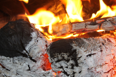 Fire. Burning woodの写真素材
