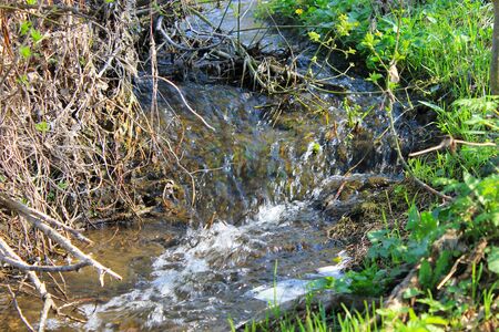 Small river on springの写真素材