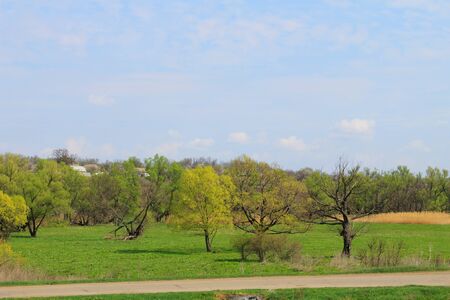 Rural spring landscapeの写真素材