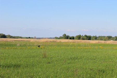 spring landscapeの写真素材