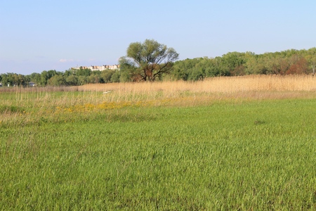 spring landscapeの写真素材
