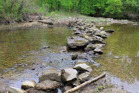 River in forestの写真素材
