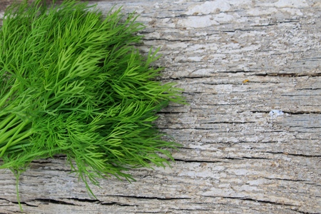 Fresh dill on wooden backgroundの写真素材