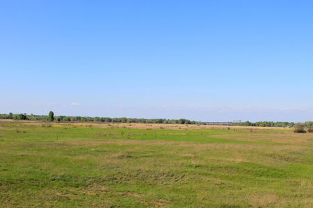 Green meadow and blue sky