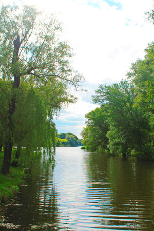 Beautiful lake on summerの写真素材