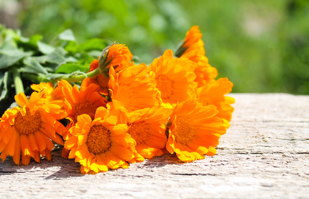 Calendula flowers on the wooden backgroundの写真素材