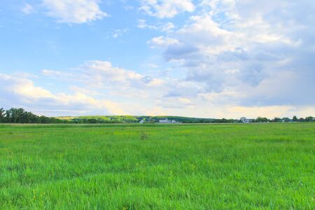 Green meadow and blue skyの写真素材