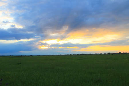Sunset on meadowの写真素材