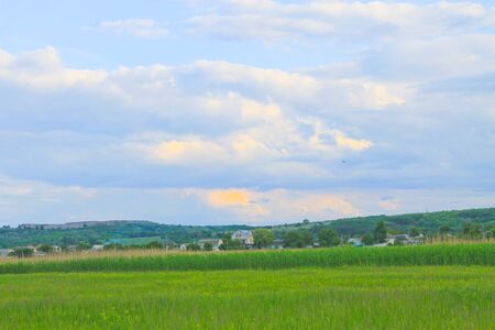 Green meadow and blue skyの写真素材