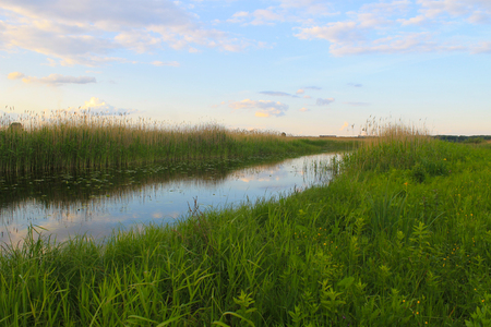 River with reeds on the shoreの写真素材