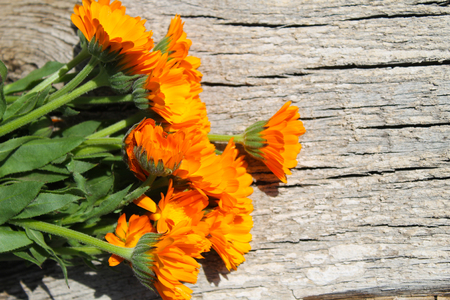 Calendula flowers on the wooden backgroundの写真素材