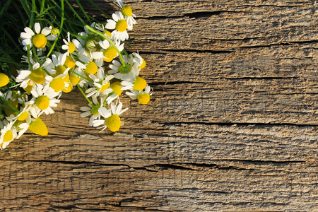 Camomile flowers on the wooden backgroundの写真素材