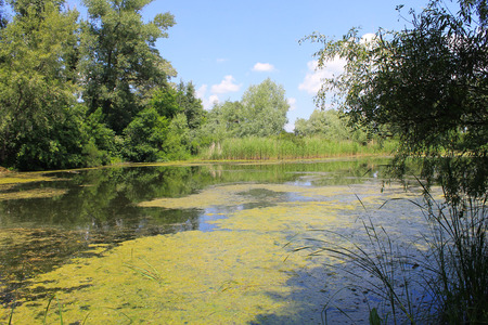 Beautiful lake on summerの写真素材
