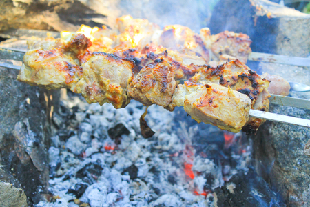 Shish kebab on bonfireの写真素材