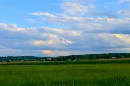 Green meadow and blue skyの写真素材