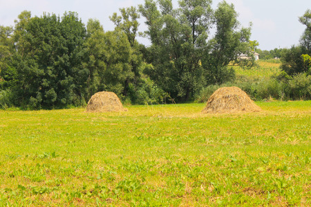 Haystacks on the meadowの写真素材