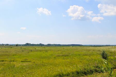 Wide meadow and blue sky. Summer landscapeの写真素材